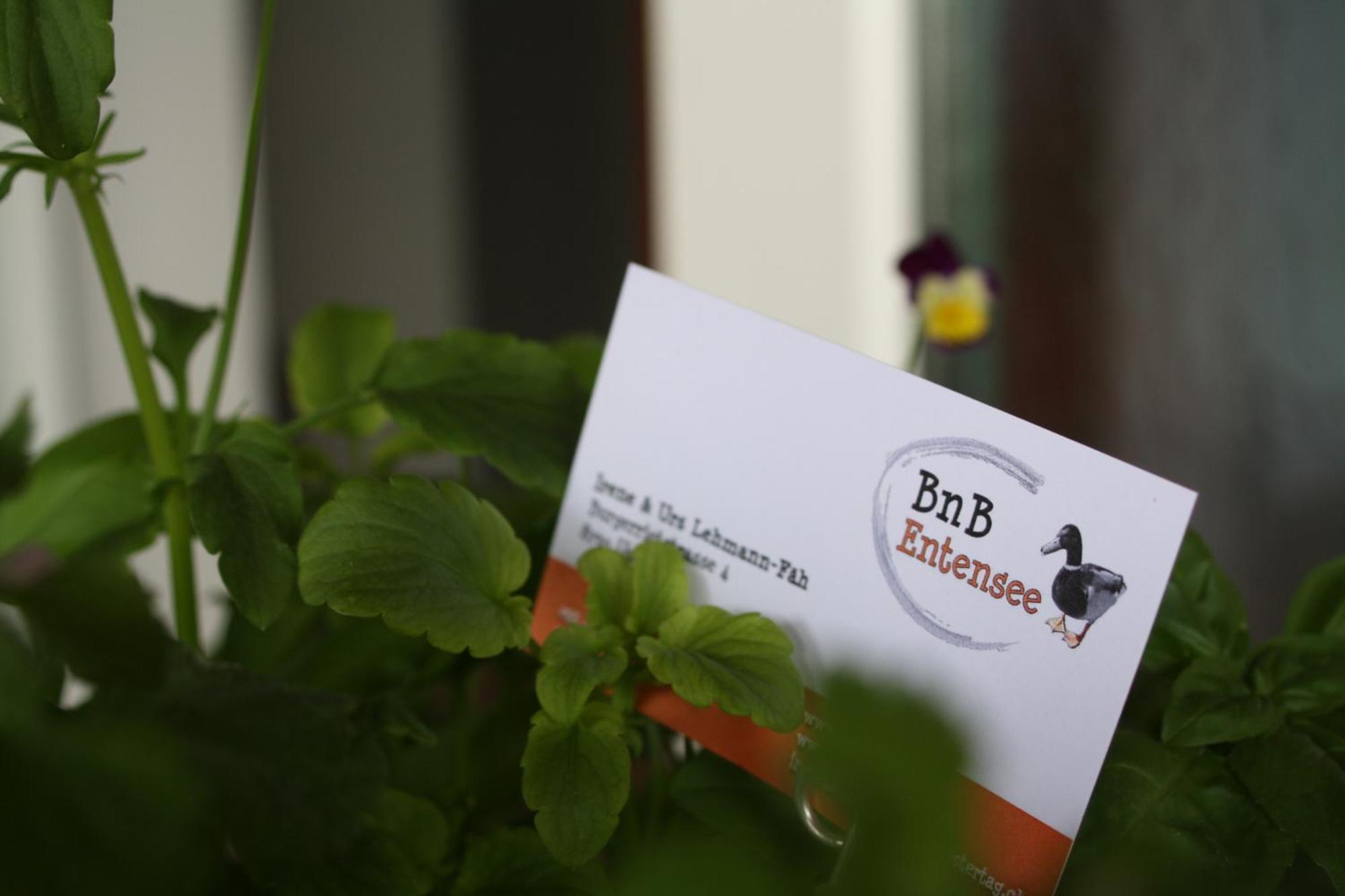Bnb Entensee Uznach Exterior photo